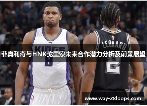 菲奥利奇与HNK戈里察未来合作潜力分析及前景展望 菲奥利奇与HNK戈里察未来合作潜力分析及前景展望