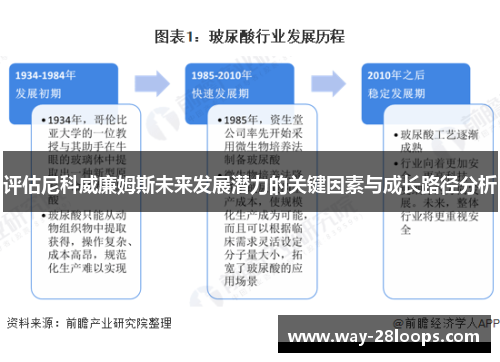 评估尼科威廉姆斯未来发展潜力的关键因素与成长路径分析 评估尼科威廉姆斯未来发展潜力的关键因素与成长路径分析
