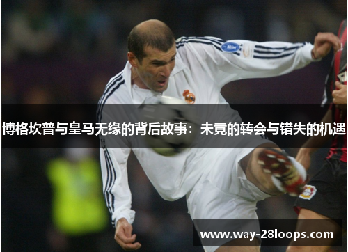 博格坎普与皇马无缘的背后故事:未竟的转会与错失的机遇 博格坎普与皇马无缘的背后故事:未竟的转会与错失的机遇