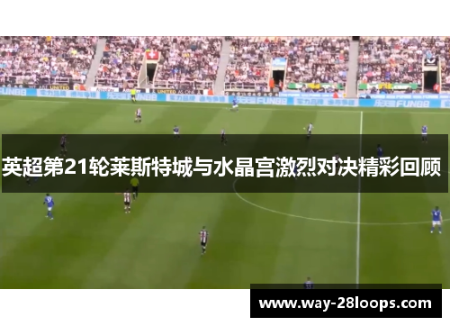 英超第21轮莱斯特城与水晶宫激烈对决精彩回顾 英超第21轮莱斯特城与水晶宫激烈对决精彩回顾