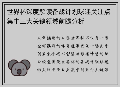 世界杯深度解读备战计划球迷关注点集中三大关键领域前瞻分析